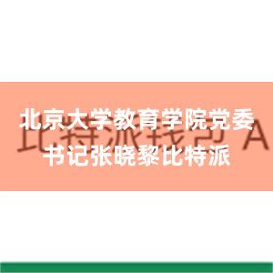 北京大学教育学院党委书记张晓黎比特派