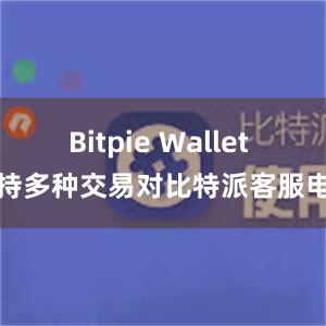 Bitpie Wallet 支持多种交易对比特派客服电话